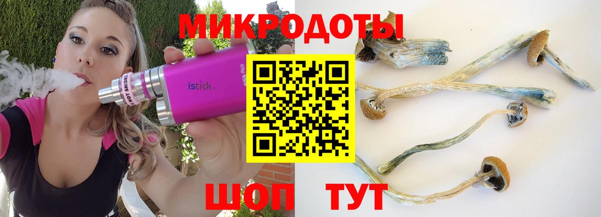 Псилоцибиновые грибы мицелий  Вход с VPN  Партизанск 